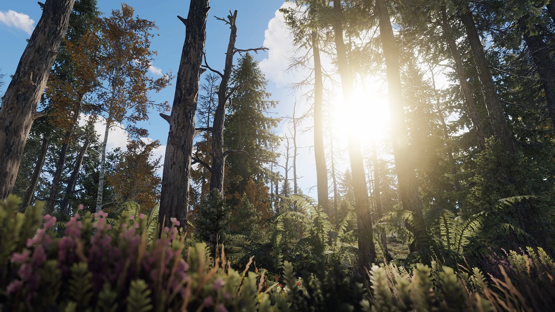 Forest landscape in Rust